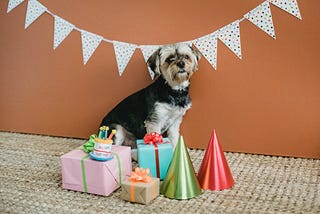 The Fool Proof Way to Always Pick Out The Perfect Gift for Anyone (Yes, Even For Fido)