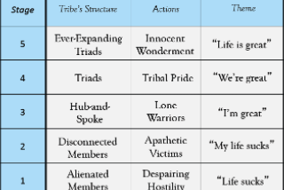 Tribal Leadership