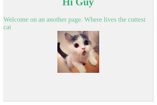 Cute cats web app (Django + VueJs)— Create VueJS views