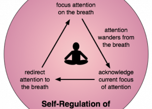 The Underrated Virtue of ‘Self Regulation’