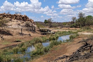 Elephants Unleashed: the Ecological Implications of Free-Ranging Herds