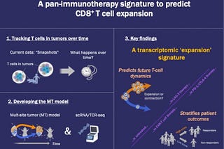 Decoding the T-Cell Burst: Signature Genes That Predict T-Cell Expansion in Cancer Immunotherapy