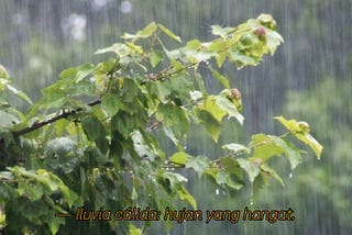 — lluvia cálida: hujan yang hangat.