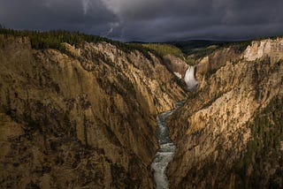 Learning to Let the Wild Be Wild in Yellowstone