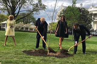 He Always Gets it Wrong, Said the Stable Genius of the French President