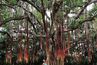 Choosing Happiness in a Depressing World