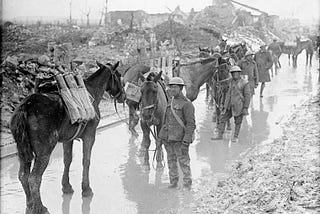 Every Horse Remembered: How working horses shaped Britain