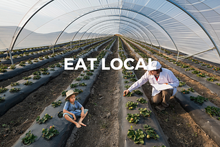 Eat Local: How the Slow Food Movement Could Save the Planet