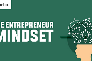 Uncover the 2 basic approaches done by entrepreneurs