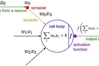 Single neuron structure. source wiki.tum.de