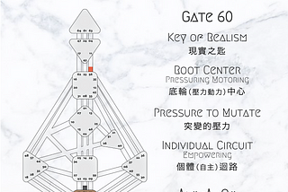 【 o1.16 to o1.22 | Gate 60 - The Key of Realism 】