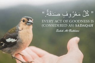 Acts of kindness by Dr. Shehroz