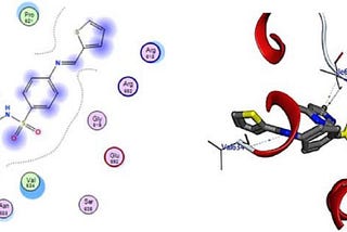 Steven Rindner Bio Facts: The First Active DNA Structure