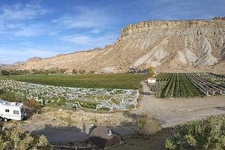 You Should Start Drinking Colorado Wine, Like, Right Now