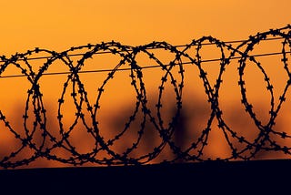 image of barbed wire coils in the sunset