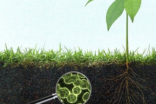 Better Grounding for Soil Science