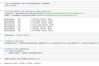 Running an NLP Bert or Machine Learning Model from HuggingFace in Java