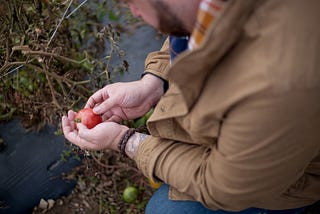 The Farmer. An Essential Worker?