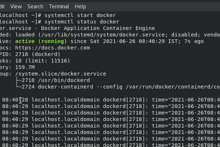 GUI Container on the Docker