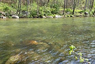 Rockfish River Running