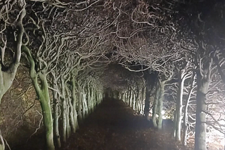 The Dark Path of Data Breaches