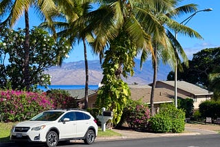 Welcome to Kauhale Road