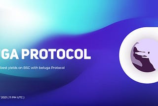 BSC.chat Interview Transcript with Beluga Protocol Project— Binance Smart Chain