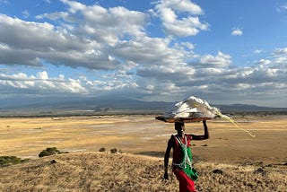 Impressões sobre o pequeno mergulho na savana africana e os antigos