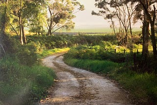 A gravel track wending through natural bush of peppermint trees and wild grass, in Lowlands, Western Australia.