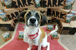 A Million Reasons to Love BarkGood
