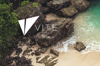 Vite Bi-weekly Report