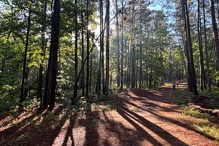 I Somehow Survived a 5K in the Woods