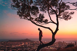 a man walking on a tree with the sunset and a city view in the background