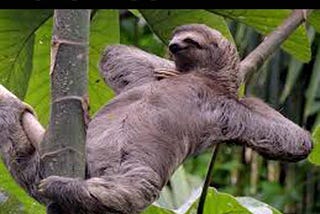 About Me: Enjoying Life at My Pace.