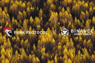 Punk Vision is Testing the Derivatives Platform