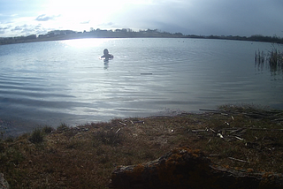 Trying cold water swimming