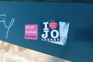 Two colourful stickers on a metal surface outdoors. One reads “Adult Human Female”, while the other reads “I [heart] Jo Cherry”