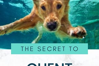 The Secret To Attracting Ideal Clients