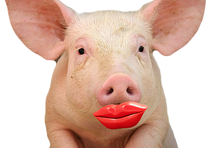Picture of a pig wearing a lipstick
