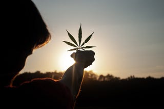 How to push the cannabis agenda in Asia (especially Taiwan)?