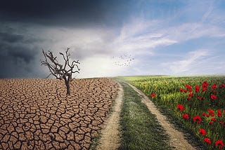 Revolutionizing Climate Finance Through Blockchain Technology