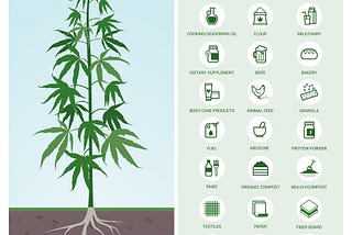 Industrial Hemp offers so many advantages when it comes to sustainability.