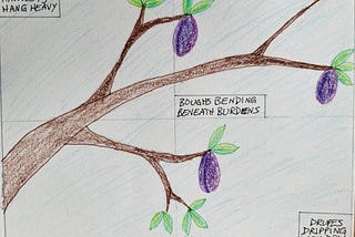 A hand drawn picture of a brown tree branch with green leaves and purple plums on it. The words of the below haiku are handwritten around it.