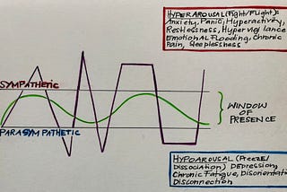 Resourcing, Pendulation and Titration: Practices from Somatic Experiencing®