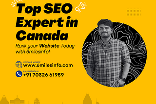 Elevate Your Business with an SEO Expert in Canada