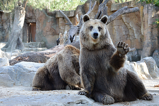 Hostile Takeover Series — Bear Hug