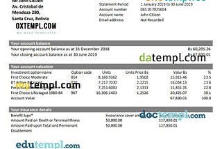 sample Bolivia Banco Union bank statement template in Word and PDF format download