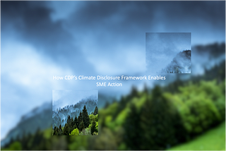 How CDP’s Climate Disclosure Framework Enables SME Action
