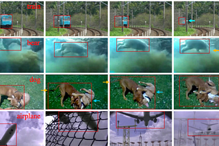 VIDEO FRAME CLASSIFICATION